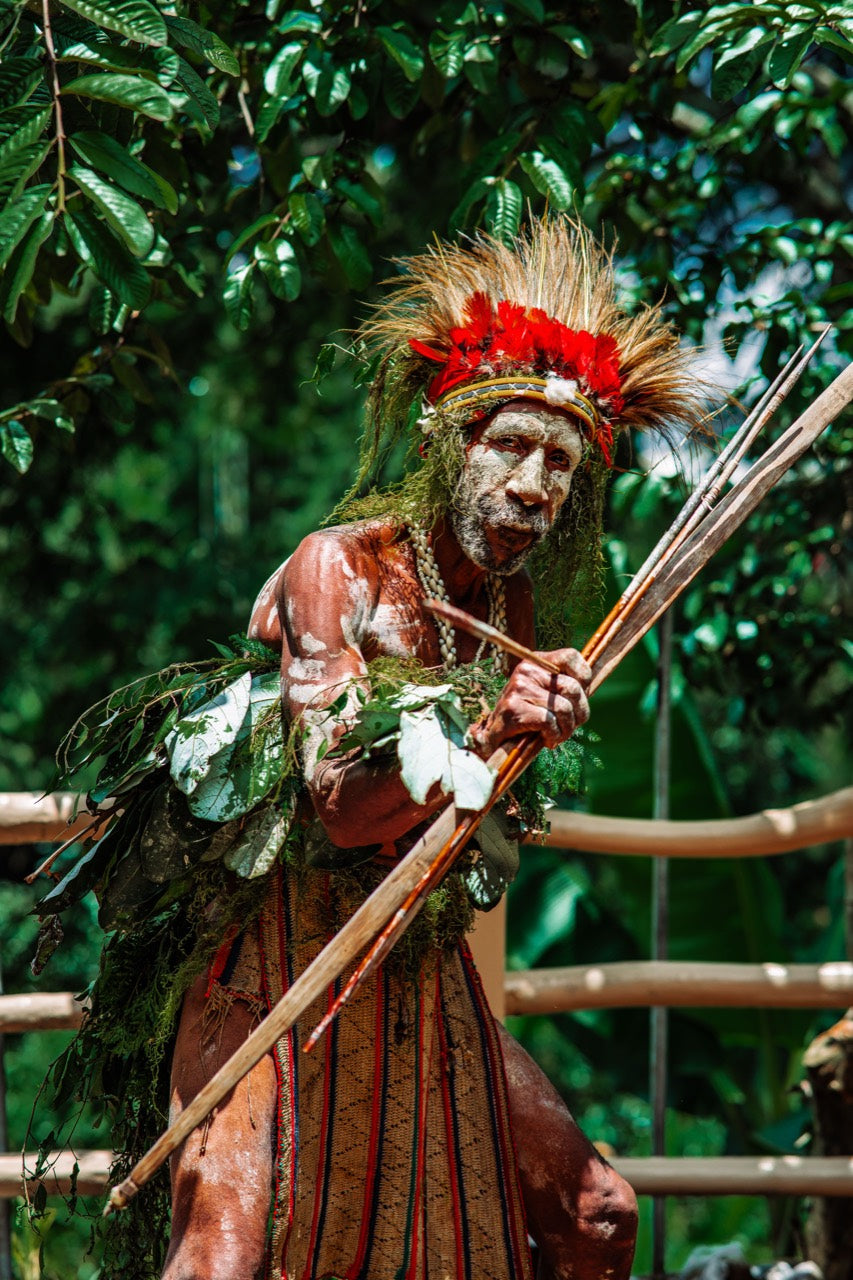 Papua New Guinea ceremonial performer in traditional dress