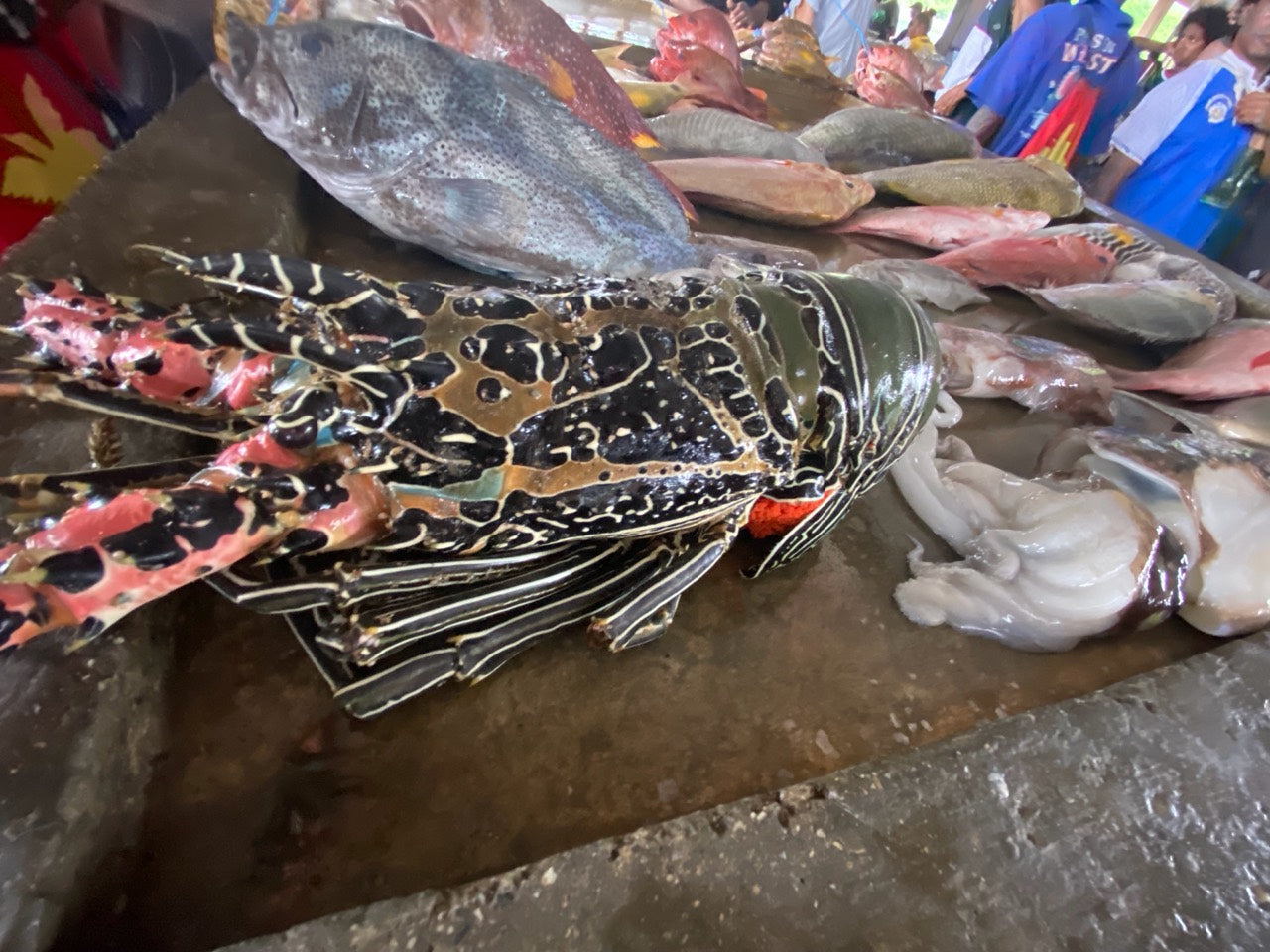 Seafood at a local market in Papua New Guinea