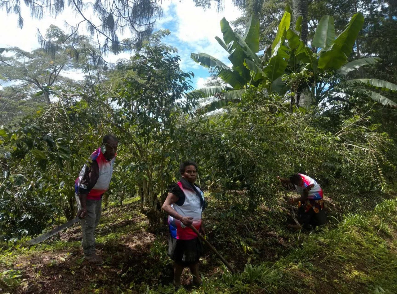 Olive Environmental Association members carrying out field maintenance