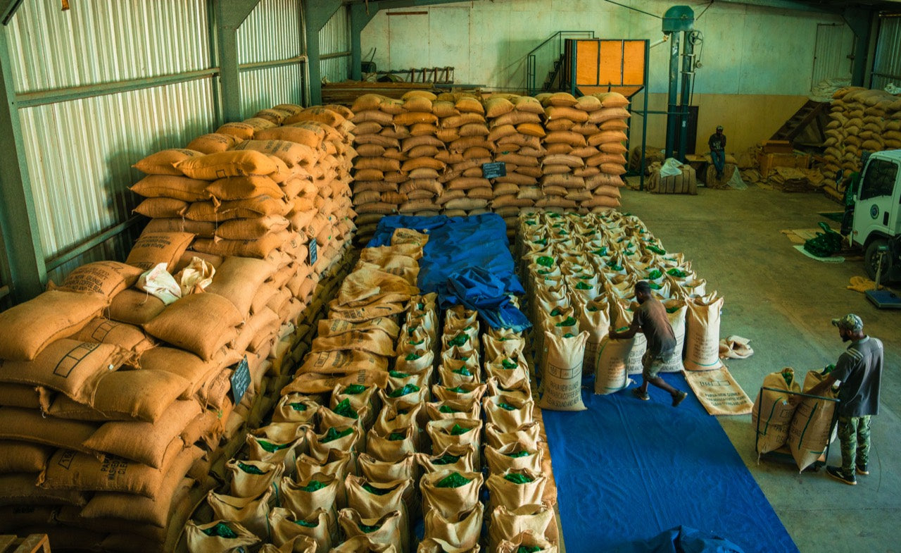 Papua New Guinea green coffee warehouse operations